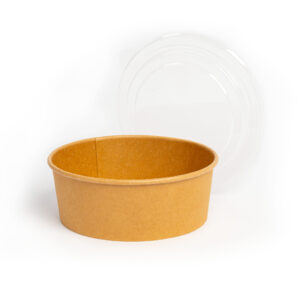 Paper Salad/Soup bowls