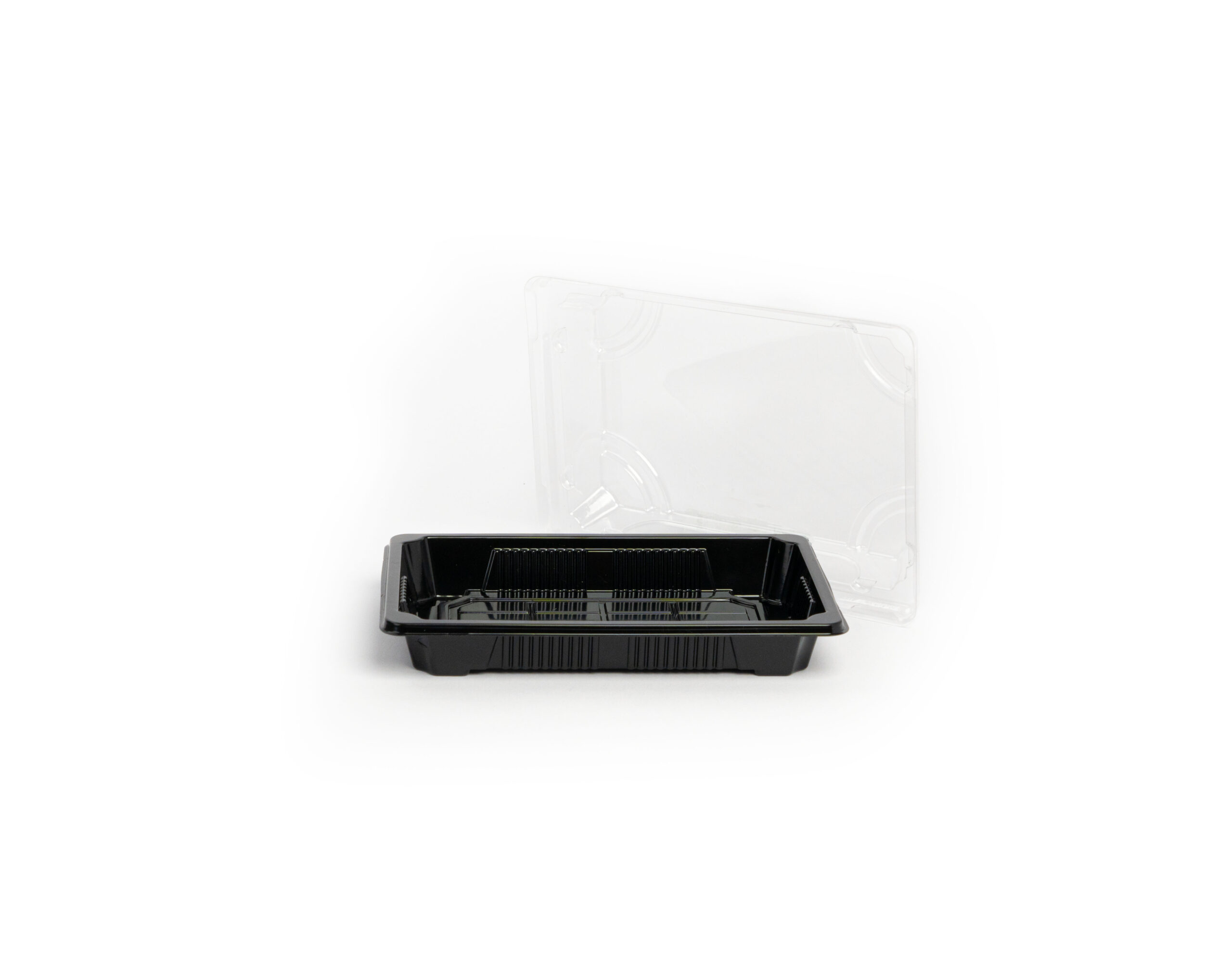 Sushi Tray #3 BLACK - With/Without Print - Image 2