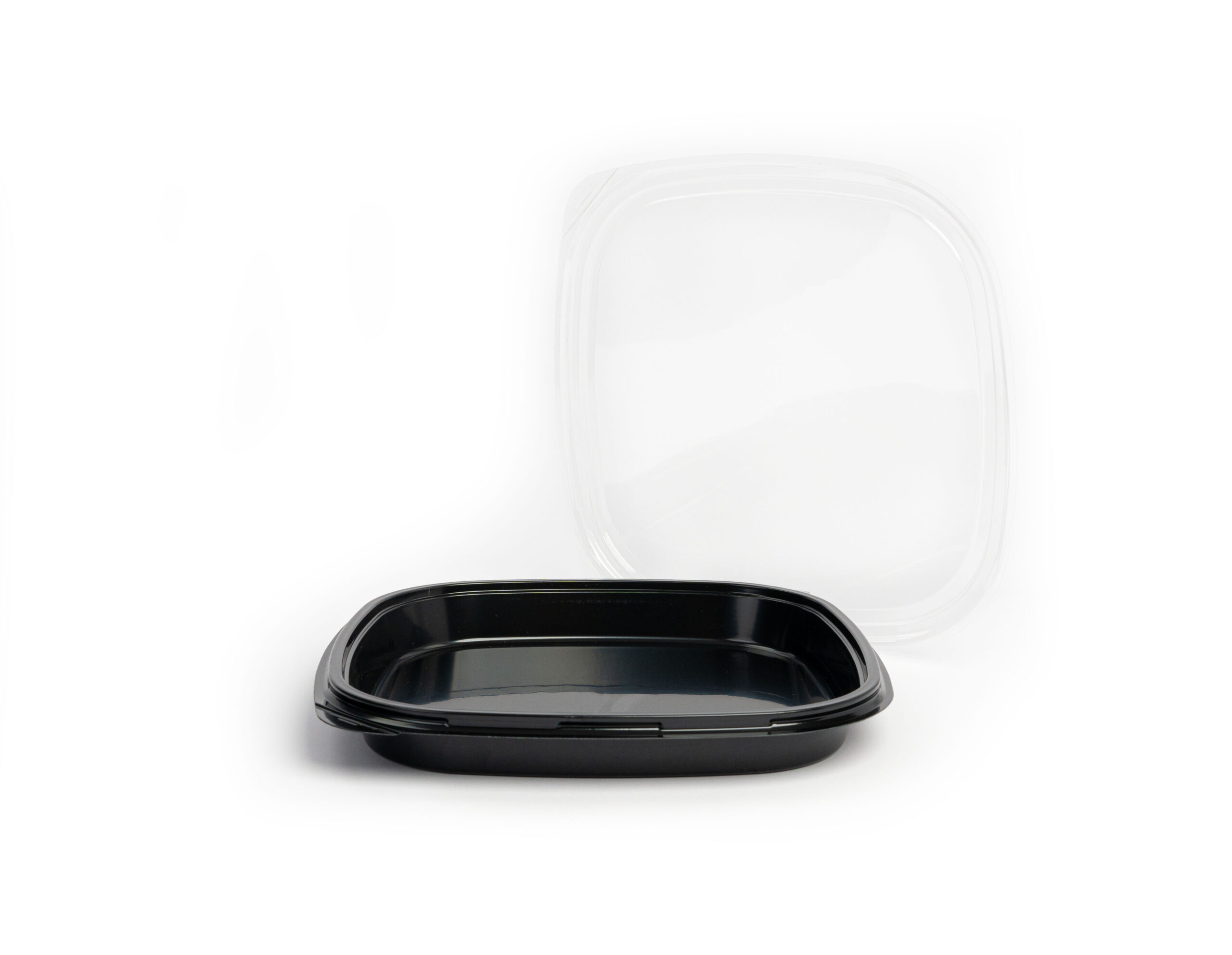 Sushi Tray #32 BLACK - With/Without Print - Image 2
