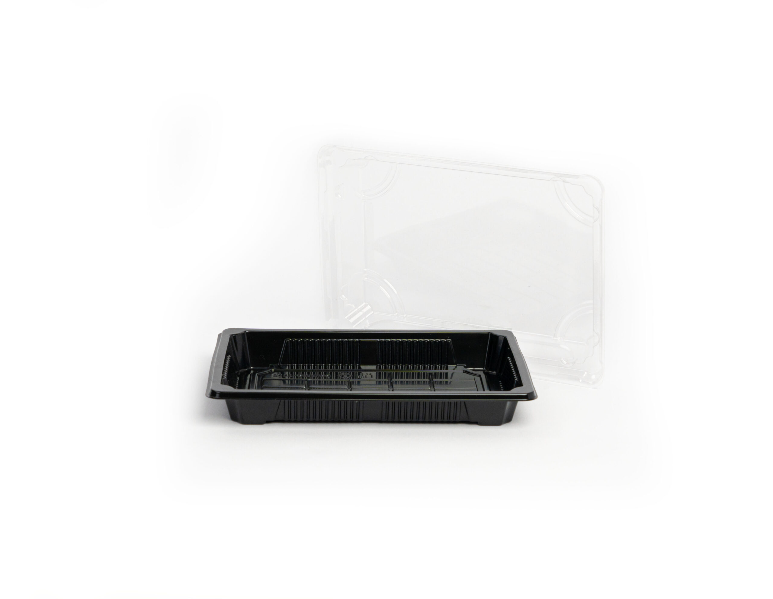 Sushi Tray #5 BLACK - With/Without Print - Image 2