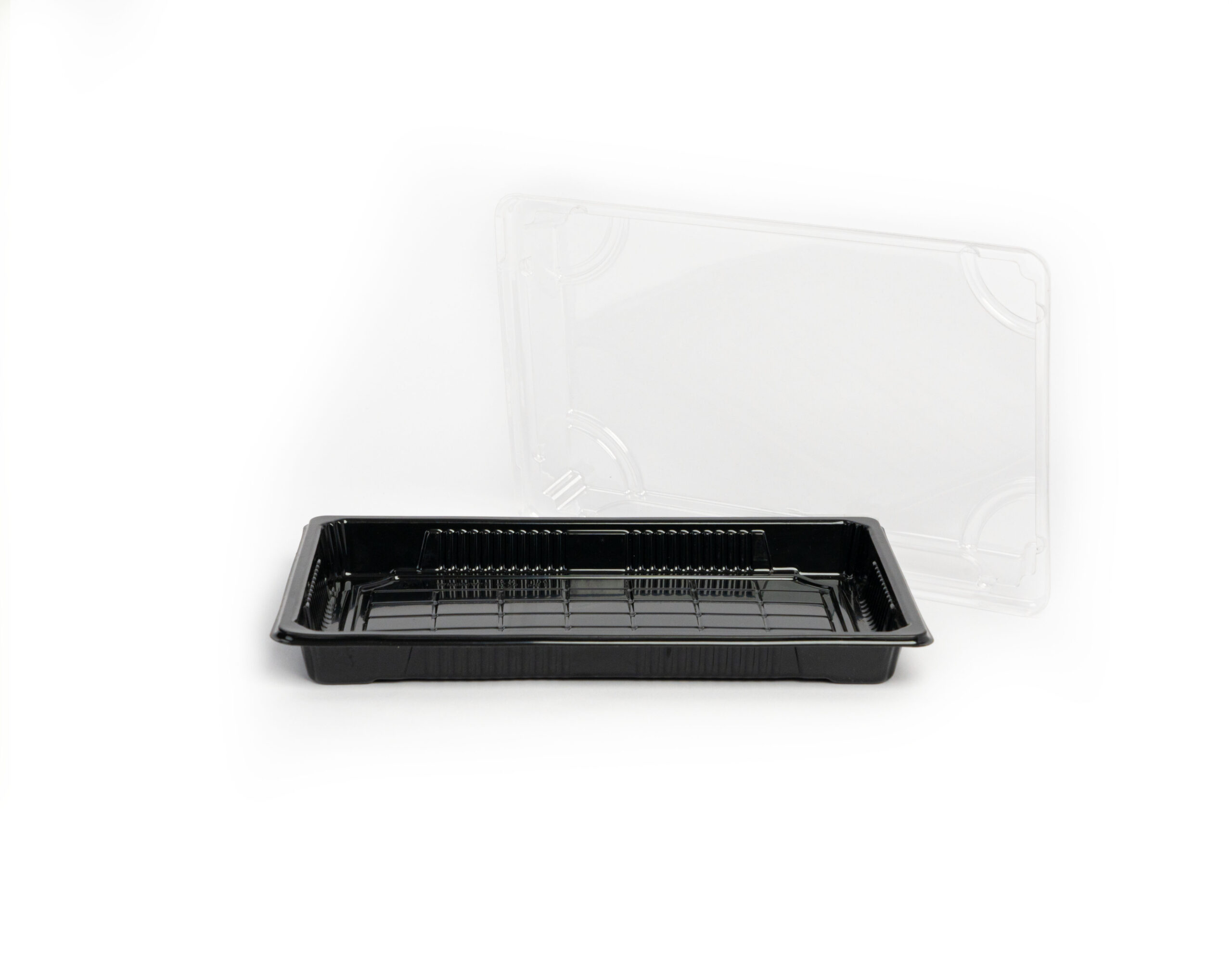 Sushi Tray #6 BLACK - With/Without Print - Image 2
