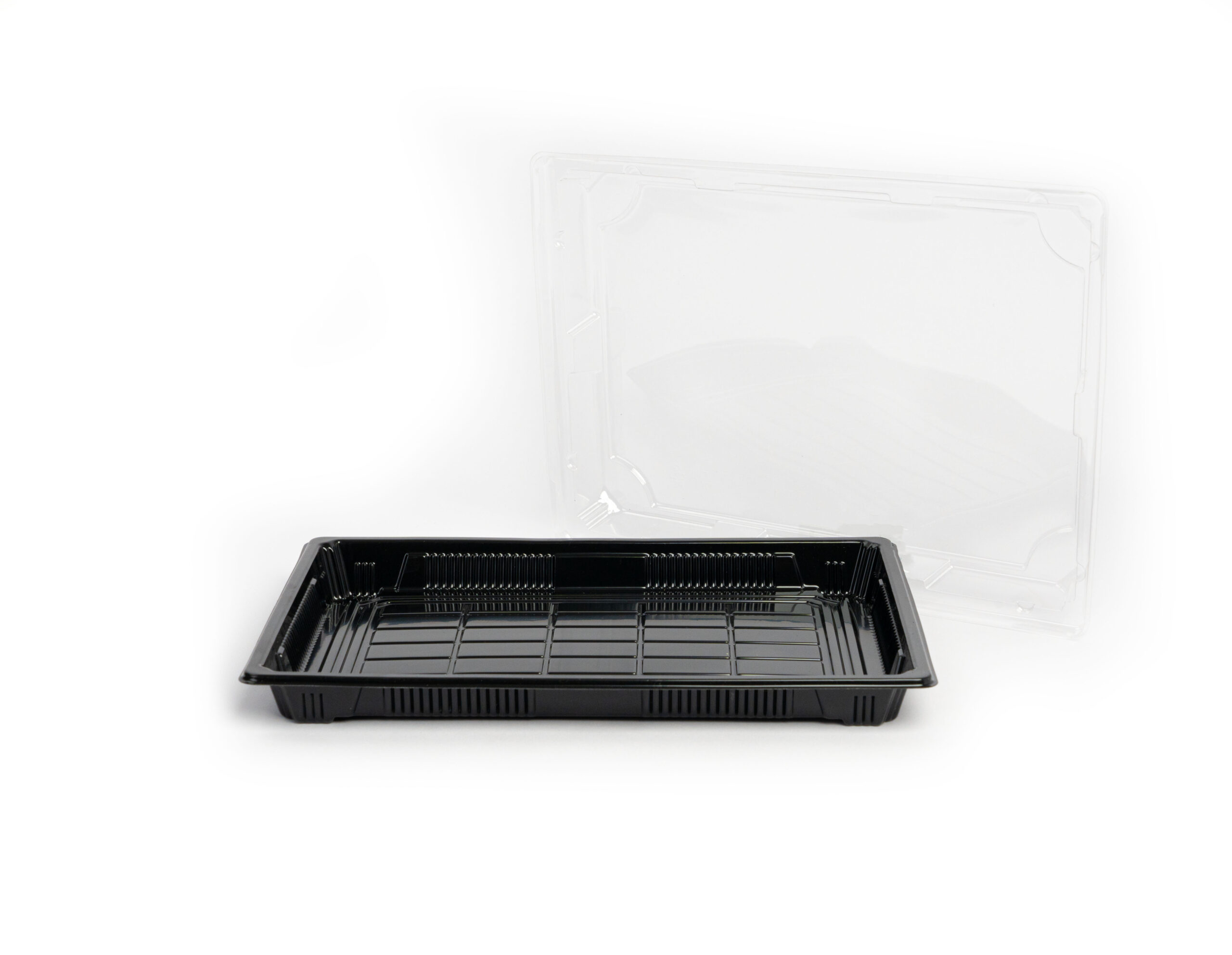 Sushi Tray #8 BLACK - With/Without Print - Image 2
