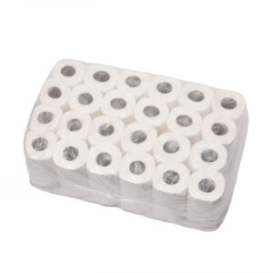 Toiletpaper 2-ply 12x4